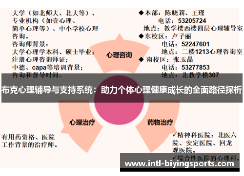 布克心理辅导与支持系统：助力个体心理健康成长的全面路径探析