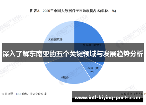 深入了解东南亚的五个关键领域与发展趋势分析